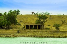 JAIPUR ARRIVAL