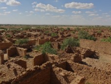 full day camel safari