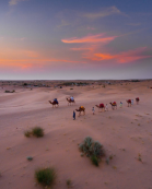 JAISALMER TOUR PACKAGE FOR STUDENTS